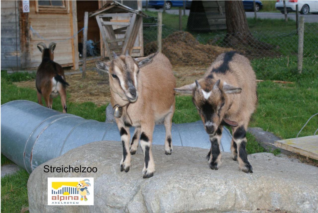 Ferien- Und Familienhotel Alpina Adelboden Esterno foto