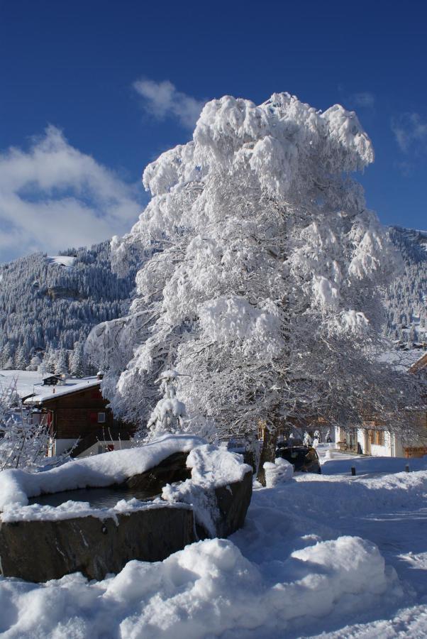 Ferien- Und Familienhotel Alpina Adelboden Esterno foto