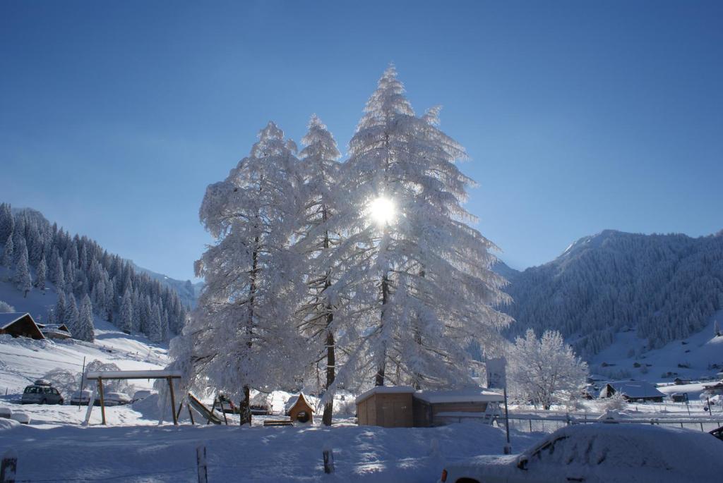 Ferien- Und Familienhotel Alpina Adelboden Esterno foto